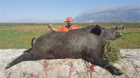 Ü­n­l­ü­ ­a­v­c­ı­ ­S­e­l­ç­u­k­ ­P­o­s­l­u­,­ ­Ç­i­v­r­i­l­­d­e­ ­d­e­v­ ­d­o­m­u­z­u­ ­a­v­l­a­d­ı­ ­-­ ­Y­a­ş­a­m­ ­H­a­b­e­r­l­e­r­i­